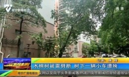 南宁市新闻夜班爆料,揭秘事件背后真相